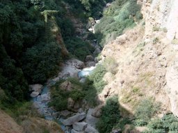 Rhonda_20021130_0029